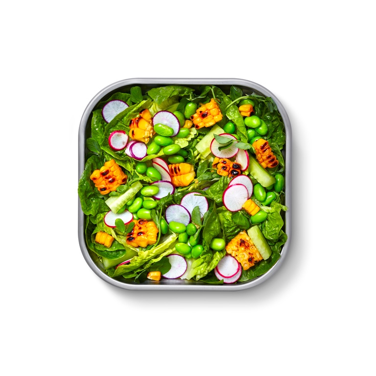 Zwart\u002BBlum\u0020Stalen\u0020Voedselbox\u0020Vierkant\u0020\u002D\u0020195x189x77mm\u0020\u002D\u0020Grijs\u002FRood