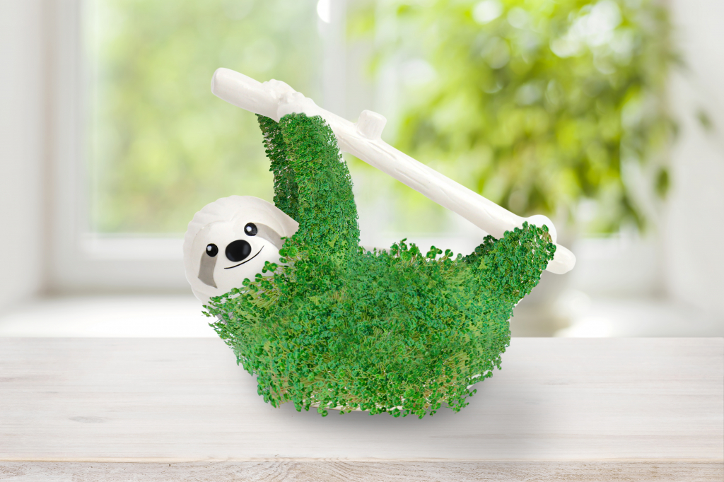 Gift\u0020Republic\u0020Luiaard\u0020Planter\u0020Component