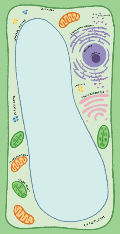 UPG\u0020Notitieblok\u0020\u002D\u0020Microbiologie