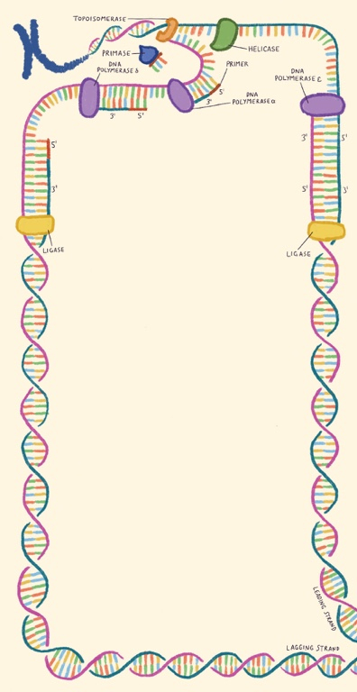 UPG\u0020Notitieblok\u0020\u002D\u0020Microbiologie