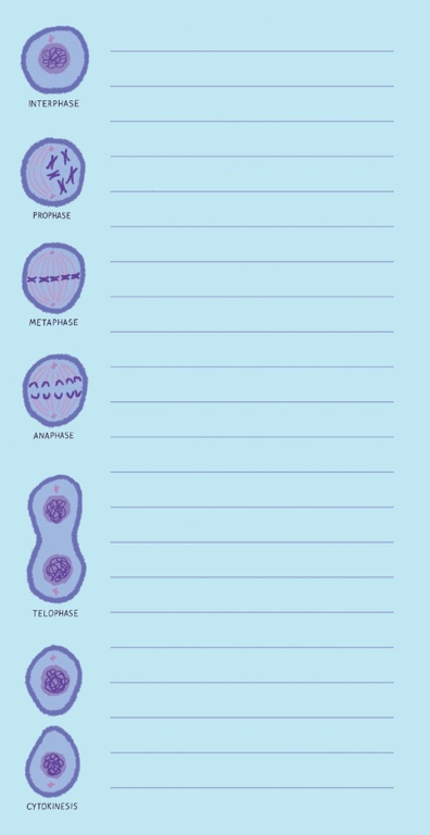 UPG\u0020Notitieblok\u0020\u002D\u0020Microbiologie