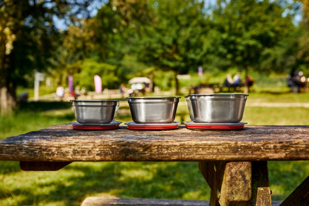 Zwart\u002BBlum\u0020Voedselbox\u0020Set\u0020Gemengd\u0020\u0028S\u002FM\u002FL\u0029