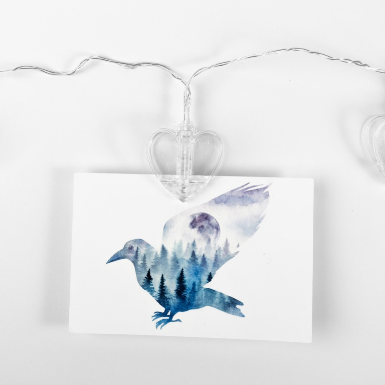 Trendform\u0020Foto\u0020draad\u0020Klip\u0020Emma\u0020\u002D\u0020incl.\u002010\u0020gekleurde\u0020clips\u0020\u002D\u0020150\u0020cm