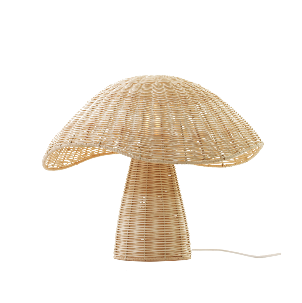 Boletus,\u0020table\u0020lamp\u0020fungus\u0020natural