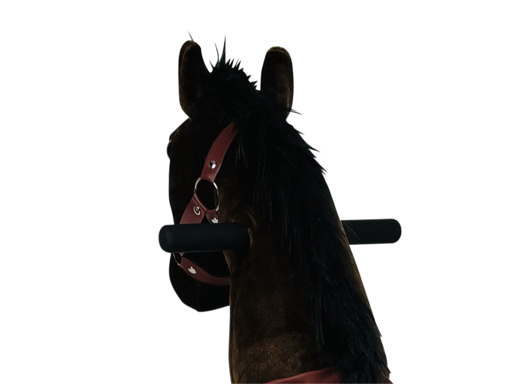 MIJN\u0020PONY,\u0020rijdend\u0020speelgoed\u0020paard\u0020van\u0020ROLLZONE\u0020\u00AE,\u00203\u0020\u002D\u00206\u0020jaar\u0020\u0028MP2009\u002DS\u0029