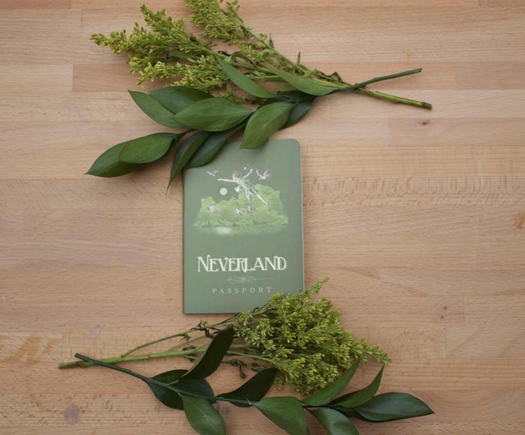 UPG\u0020Notitieboek\u0020\u002D\u0020Neverland\u0020Paspoort