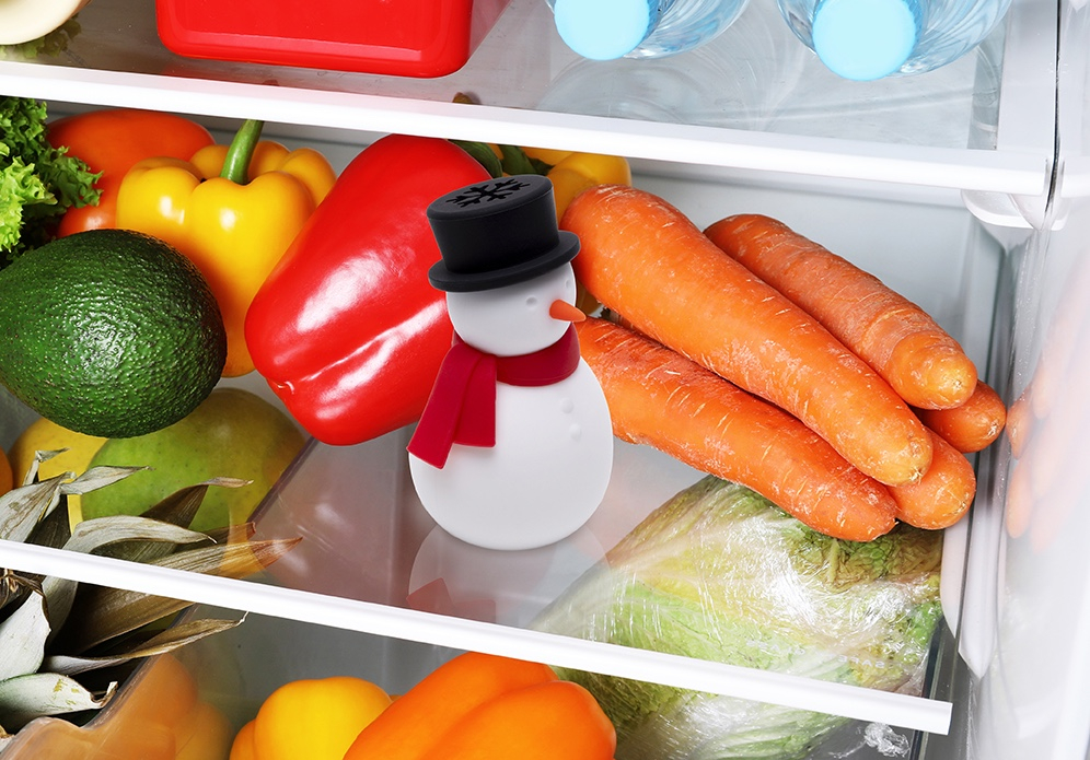 Peleg\u0020Design\u0020Freezy