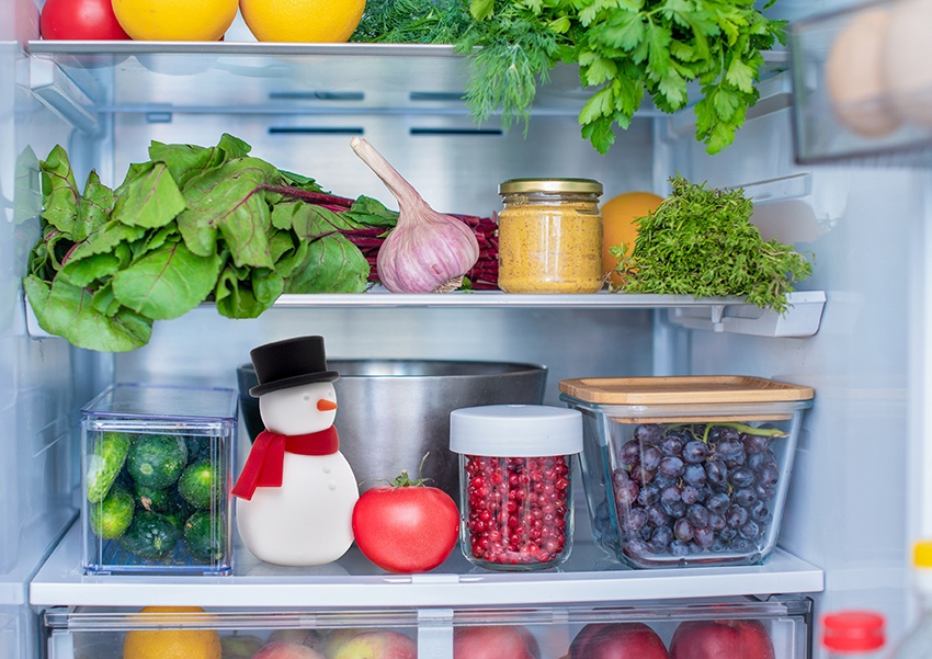 Peleg\u0020Design\u0020Freezy