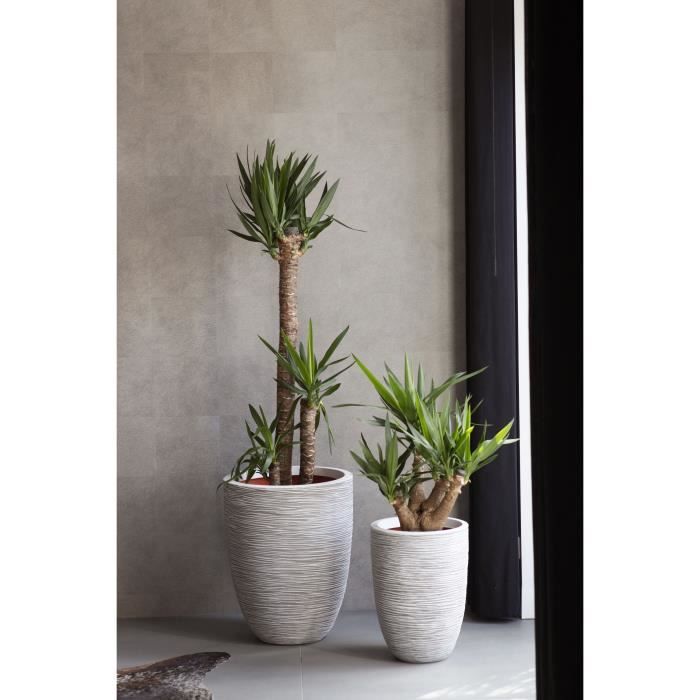 Capi\u0020Bloempot\u0020Nature\u0020Rib\u002036\u0020x\u002047\u0020cm\u0020Ivoor\u0020KOFI782\u0020424227