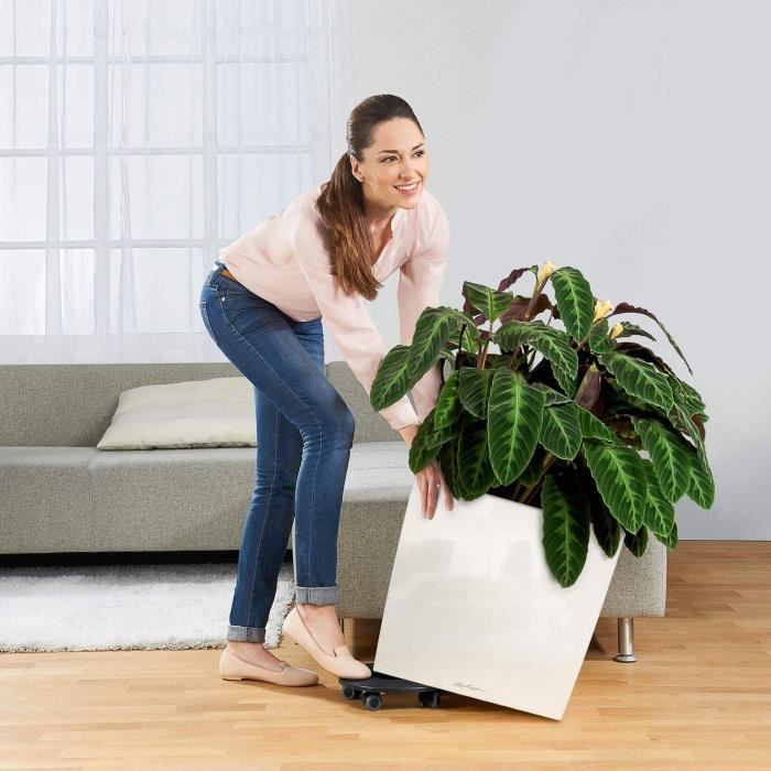 LECHUZA\u0020Cube\u0020Premium\u002050\u0020bloempot\u0020\u002D\u0020complete\u0020set,\u0020glanzend\u0020taupe LECHUZA\u0020Cube\u0020Premium\u002050\u0020bloempot\u0020\u002D\u0020complete\u0020set,\u0020glanzend\u0020taupe