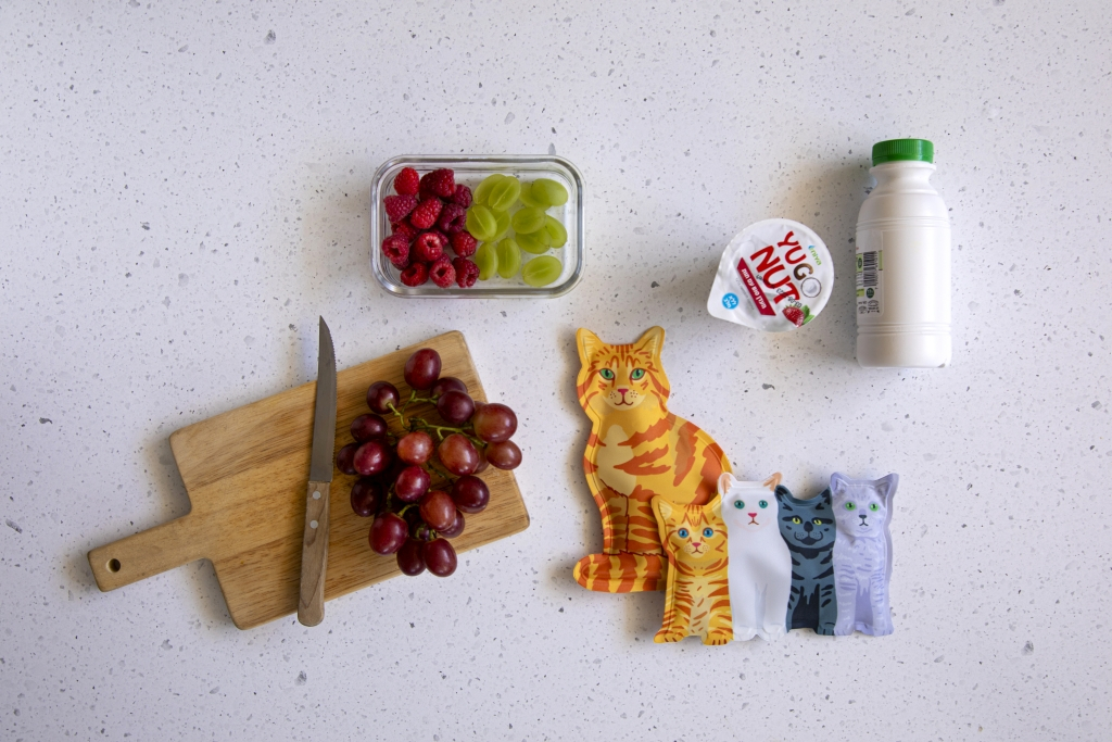 Monkey\u0020Business\u0020Koelelementen\u0020set\u0020van\u00202\u0020\u002D\u0020Kitty