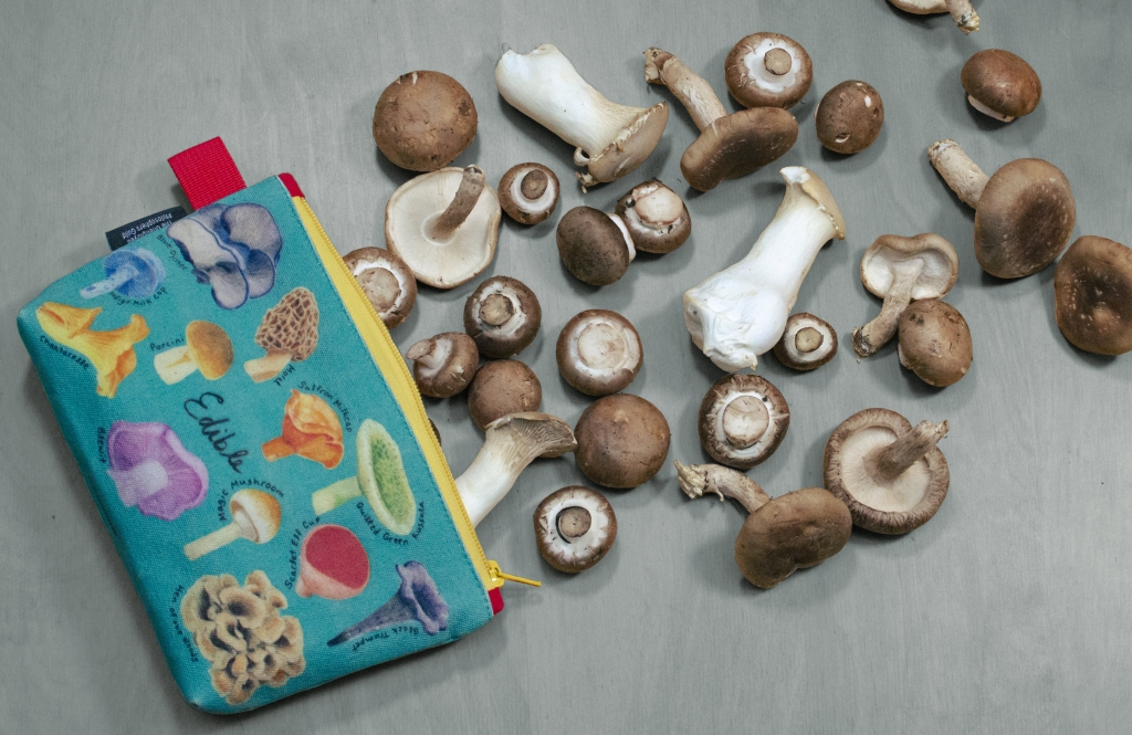 UPG\u0020Etui\u0020\u002D\u0020Paddestoel