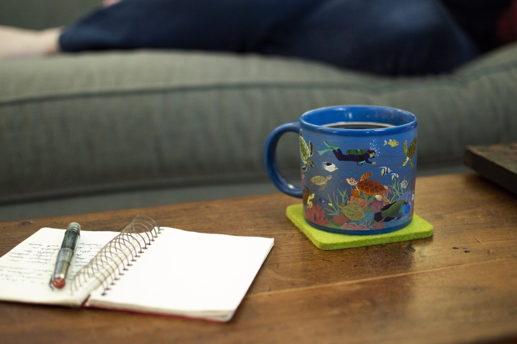 UPG\u0020Mok\u0020\u002D\u0020Zeeschildpadden\u0020bij\u0020het\u0020koraalrif