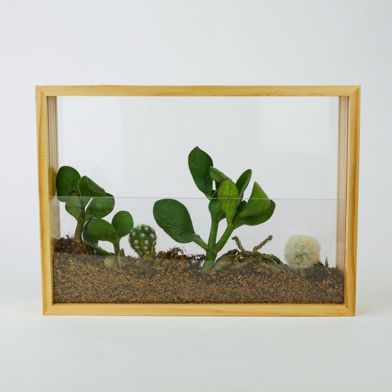 Gift\u0020Republic\u0020DIY\u0020kit\u0020\u002D\u0020Verticale\u0020Tuin