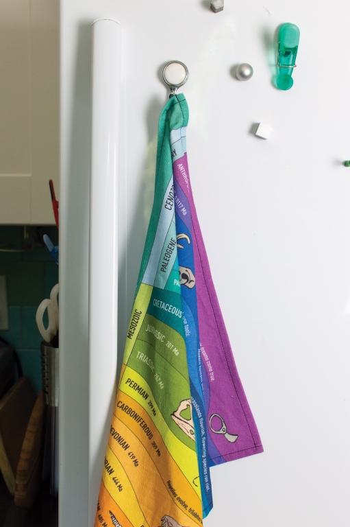 UPG\u0020Theedoek\u0020\u002D\u0020Geologische\u0020Tijd