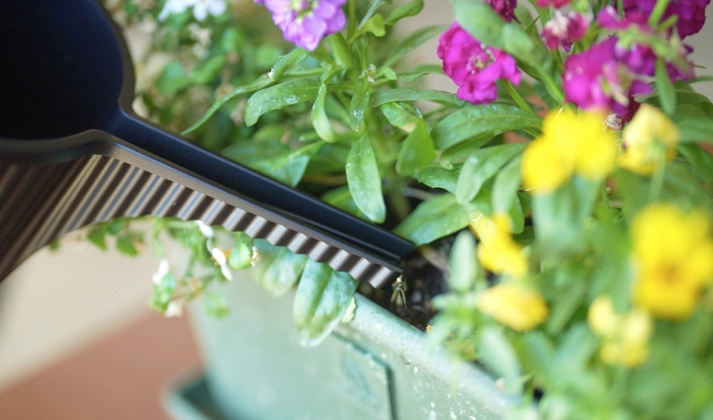 Hachiman\u0020Garden\u0020Beetle\u0020Gieter\u0020\u002D\u00201.5Ltr\u0020\u002D\u0020Zwart