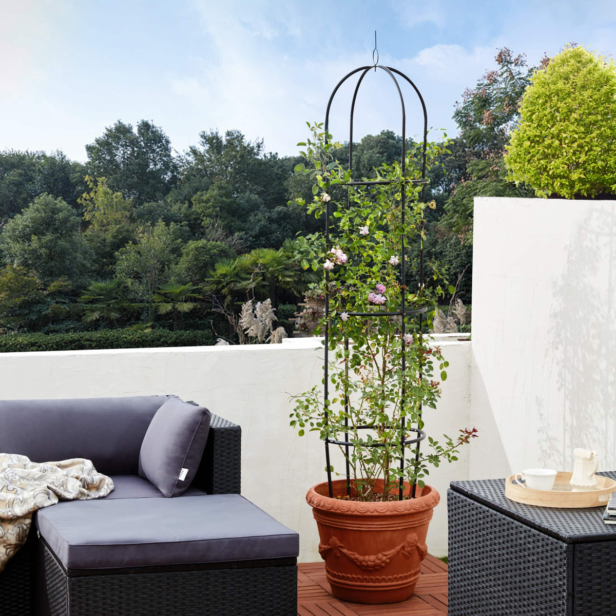 Rozenkolom\u0020Zwart\u0020200x40cm Rozenkolom\u0020Zwart\u0020200x40cm