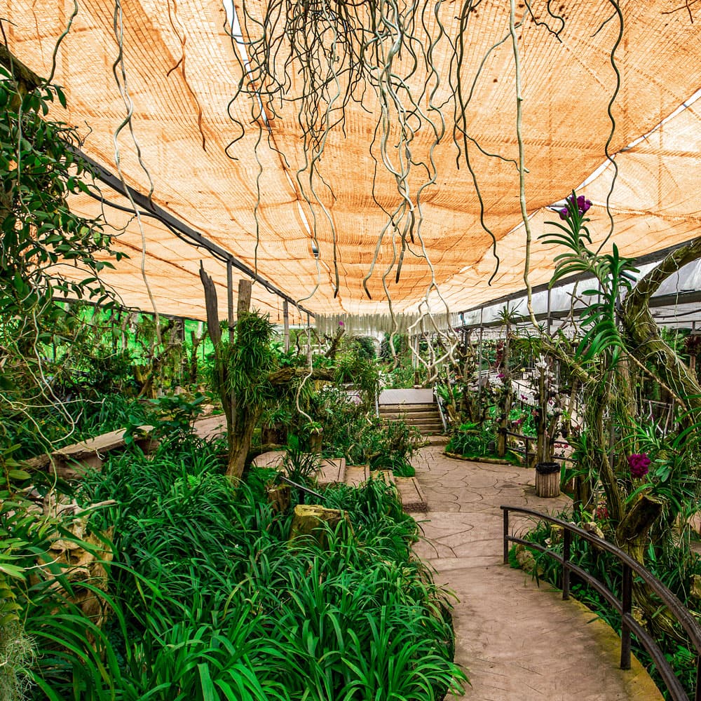 Balkon\u0020Privacy\u0020Scherm\u0020Beige\u00201,4\u0020x10m