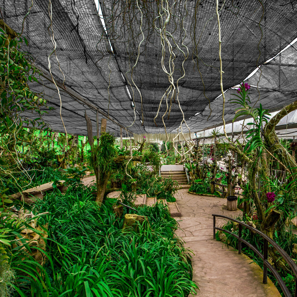 Balkon\u0020Privacy\u0020Scherm\u0020Antraciet\u0020\u0020afm.\u00201x10m Balkon\u0020Privacy\u0020Scherm\u0020Antraciet\u0020\u0020afm.\u00201x10m