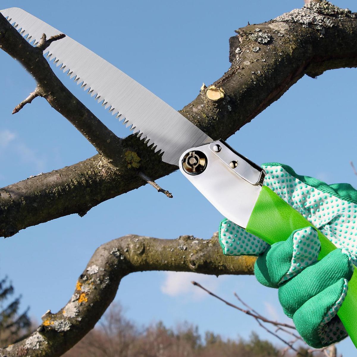 Takkenzaag\u002Dinklapbaar\u002Dsnoeizaag\u002Dtuinzaag\u002Dtuinklapzaag\u002Dhandzaag\u002Dstaal